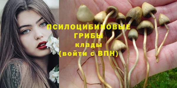 стафф Баксан