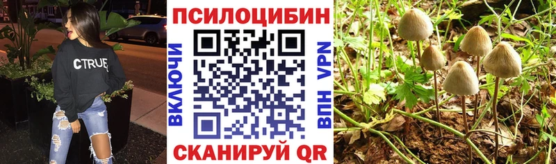 закладки  Коммунар  Галлюциногенные грибы ЛСД 